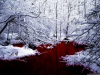 Ice and Blood
