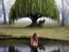 The Weeping Willow Will