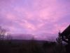Lilac Skies