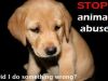 Stop animal killing!