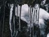 Icicles (Short Poem Contest)