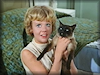 Saturday Surprise - Video, "That Darn Cat !"
