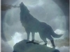 Lone Wolf