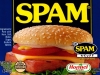 Spammers Spam !!!