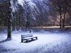 Winter (Acrostic)