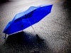 Blue Umbrella