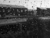 SUMMER RAIN