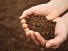 Why is Soil Testing Important for Construction