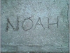 &quot;For Noah&quot;