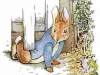 Peter Rabbit