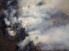 The Burning Season