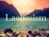 Lachesism