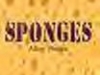 SPONGES
