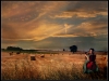 Musician In The Fields