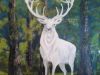 White Stag