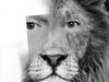 The Lion and the Internet