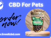 The Benefits of CBD for Pets: A Guide to LivWell CBD's Top Products