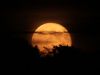 The Moon Has Nothing To Say To Me Tonight