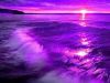 I Dreamt of a Purple Ocean 