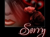 Apology