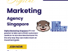 Best Digital Marketing Agency Singapore - Digital Marketing Singapore