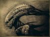 Blue Xenomorph: Pacific-Diorama