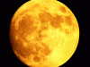 Songs to the Yellow Moon