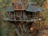 The Tree House 