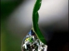 little droplet of water