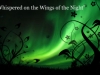 Whispered on the Wings of The Night