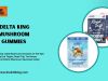 The Best Delta King Mushroom Gummies at The 420 King &ndash; Top Picks & Reviews