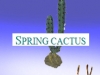 Spring Cactus