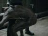 Van Helsing: Nothing Matters (Vaxel)
