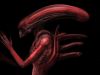 Red Xenomorph