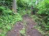 The Mountain Path  (9-14-85)