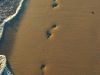 Footprints In The Sand