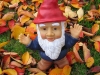 The Adventures of Gnomey: Gnomey in America