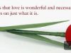 What is Love
