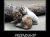Friendship!