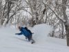 Niseko Ski Lessons - Skiing and snowboarding