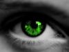 The Green Eyed Monster