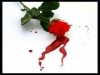 Blood Stained Rose