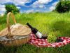 Picnic