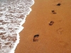 Footprints Across The Sand