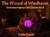 The Wizard of Windhaven -- The Practical Magicians Guild Chronicles -- Book 2