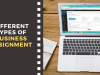 Different Types of Business Assignment You Get During Graduate Program