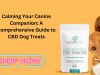 Calming Your Canine Companion: A Comprehensive Guide to CBD Dog Treats