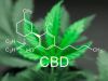 Cannabidiol Market: Fastest Growth, Demand and Forecast Analysis Report upto 2027 