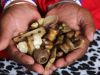 TRADITIONAL HEALER  [+277&rsquo;64410&rsquo;726]. SANGOMA  In Durban , Durban North , East Rand , Edenvale , Ell