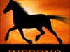 Inferno: The Horse with a Spirit